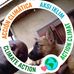 Michael Makiese Nzuzi - Facebook