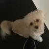michaelmarrese - @michaelmarrese - TikTok