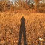 Michael Robert - @marselleface - Instagram