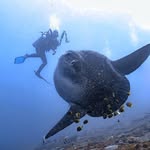 Michael Martin - @macro.michael - Instagram