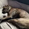 michelmarxer - @michelmarxer - TikTok