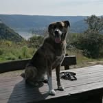 @michael__maschke - Instagram