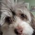 Mike Masciarelli - Facebook