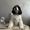 Michael Massari - @michael.massari - TikTok