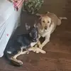 massimomichaelcat - @massimomichaelcat - TikTok