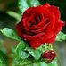 M Usman Mughal - Facebook