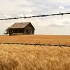 michaelmassoni0 - @michaelmassoni0 - TikTok