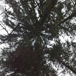 Michael Matejka - @michaelmatejkag - Instagram