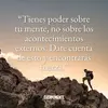 David51 - @michaelmateo51 - TikTok