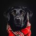 Michael Mateo - Facebook