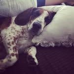 Jackson Michael Mathiesen - @jackson_thebagel - Instagram