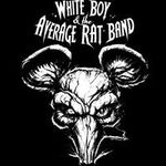 Michael Matney - @whiteboyandtheaverageratband - Instagram
