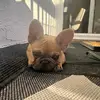 Michael Matranga - @michael.matranga - TikTok