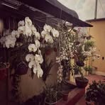 Michael Mattiello - Facebook