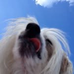 Michael Matula - @michaelmatulanyc - Instagram