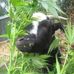 Maundu Michael - Facebook