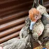 Micheal Mauney - @micheal.mauney - TikTok