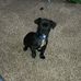 Michael Maxey - Facebook