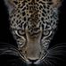 Michael Maxey - Facebook