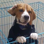 Michael Maxson - @michael_sin_alas - Instagram