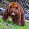 michaelmaxson579 - @michaelmaxson579 - TikTok