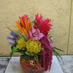 Michael Mayer - @tamarasflowergarden - Instagram