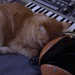 Michael Mayhall - @michael.mayhall.music - Instagram
