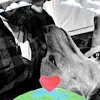 micheal maynard - @micheal.maynard - TikTok