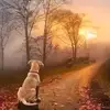 MICHAEL MAYCOCK - @michael.maycock - TikTok