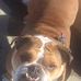 Michael Mazzio - Facebook