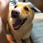 Michael Mazzullo - @mdmazzullo - Instagram