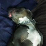 Michael Mcbee - @michael.mcbee844 - Instagram