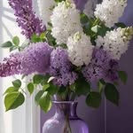 Michael McCafferty - @michael.mccafferty.31 - Instagram