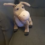 Michael McCafferty - @mccafferty8587 - Instagram