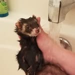 Michael McCaskey - @mccnastkey - Instagram