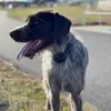 Michael McClain - @michaelmcclain03 - TikTok