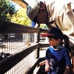 Michael McClain - @m.c.mcclain - Instagram