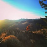 Michael McClean - @mikemcclean - Instagram