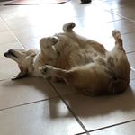 Michael McCraw - @life_is_an_enterprise - Instagram