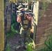Michael Mccreedy - Facebook