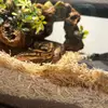 michaelmccubbins66 - @silky00990 - TikTok