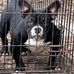 Michael Mccullum - Facebook