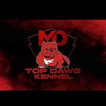 Michael McCullum - @mike_dogman - Instagram