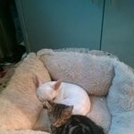 Michael Brooks Kim Mcdowall - @michaelbrookskimmcdowall - Instagram