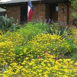 Michael McDowell - @planoprairiegarden - Instagram