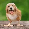 Michael McEachern - @michael.mceachern1 - TikTok