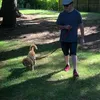 Michael McElhinney - @michael.mcelhinne - TikTok