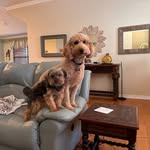 Michael McFerren - @mcferrenagain - Instagram