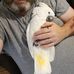 Michael McFerren - Facebook