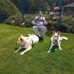 Michael Mcginness - Facebook